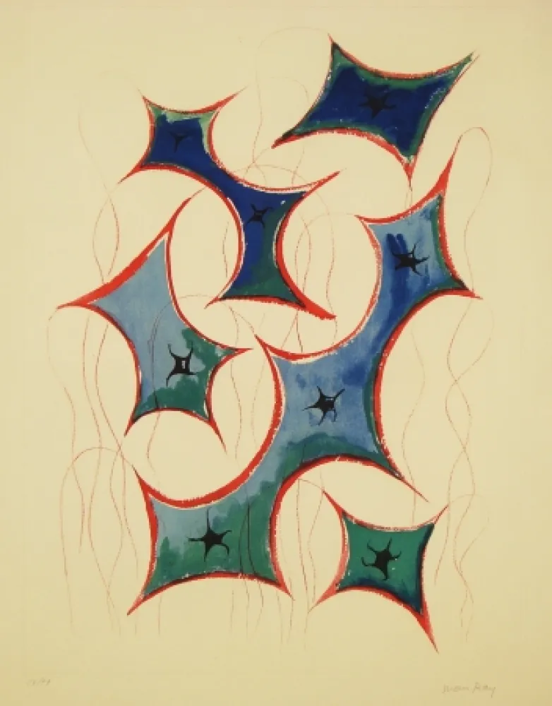 Acquaforte E Acquatinta Ray - Transfiguration d'un cactus