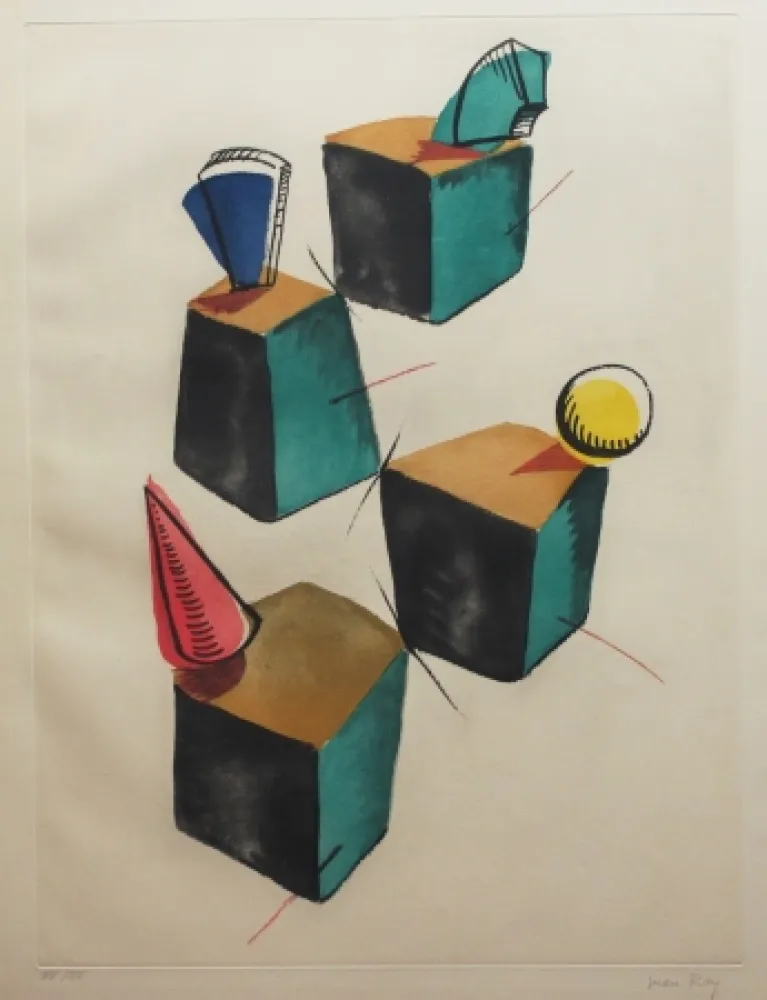 Acquaforte E Acquatinta Ray - Transfiguration d'un cactus