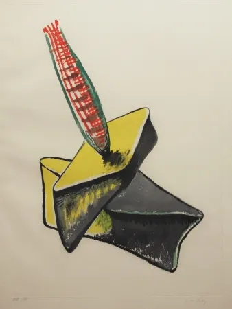 Acquaforte E Acquatinta Ray - Transfiguration d'un cactus