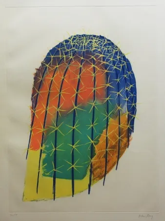 Acquaforte E Acquatinta Ray - Transfiguration d'un cactus