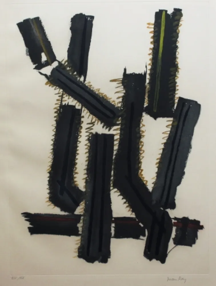 Acquaforte E Acquatinta Ray - Transfiguration d'un cactus