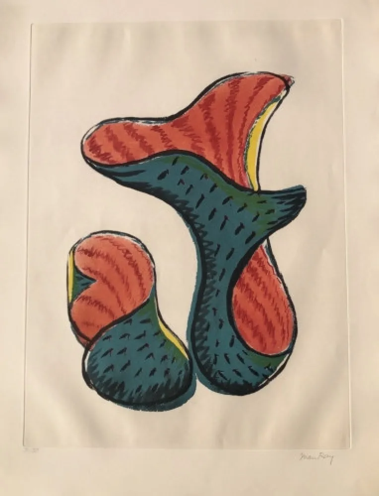 Acquatinta Ray - Untitled (from Transfiguration d' un Cactus)