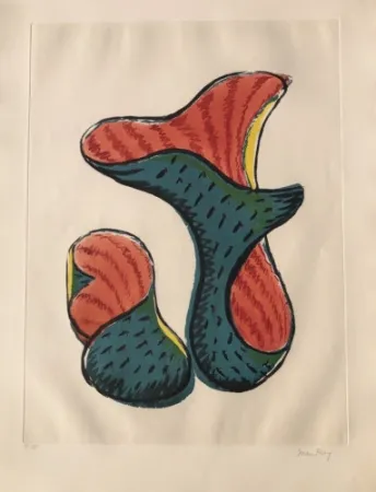 Acquatinta Ray - Untitled (from Transfiguration d' un Cactus)