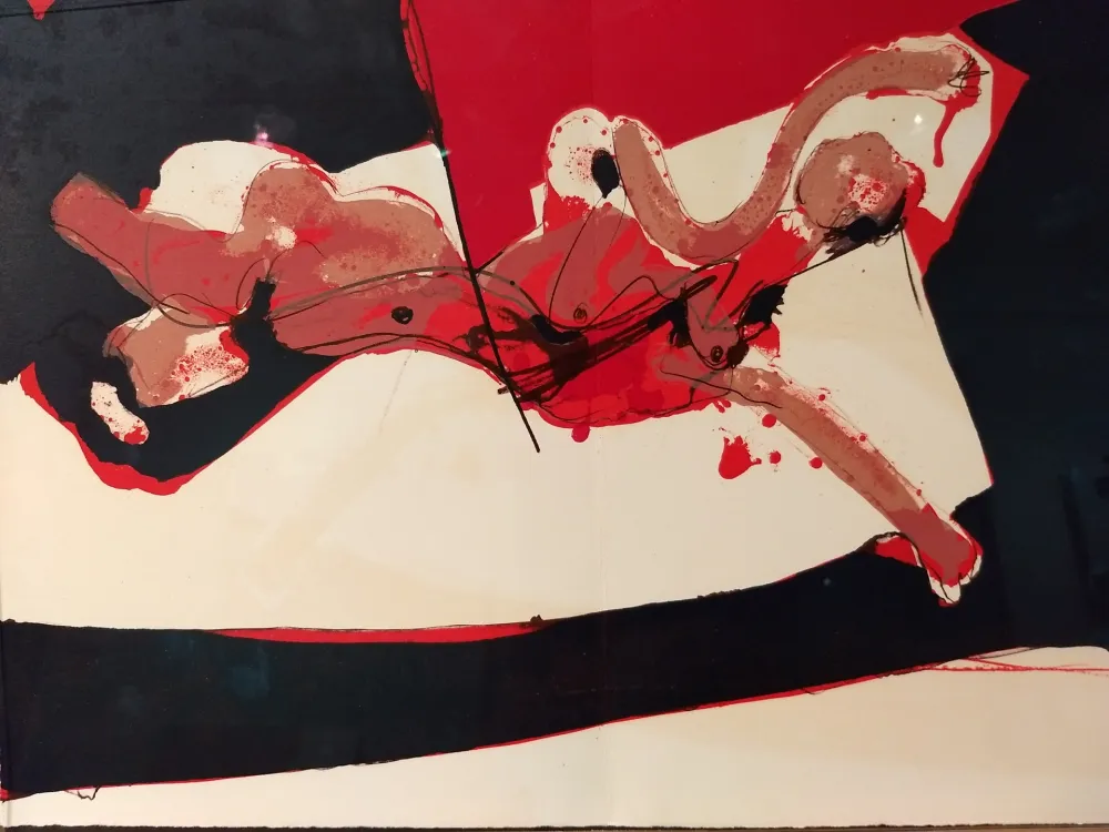 Libro Illustrato Rebeyrolle - Coexistances