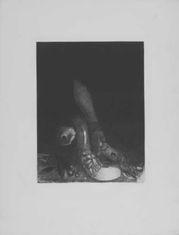 Litografia Redon - Des fleurs tombent, e la tete d'un phyton parait