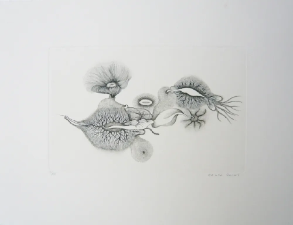 Incisione Reims - Sans titre