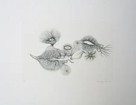 Incisione Reims - Sans titre