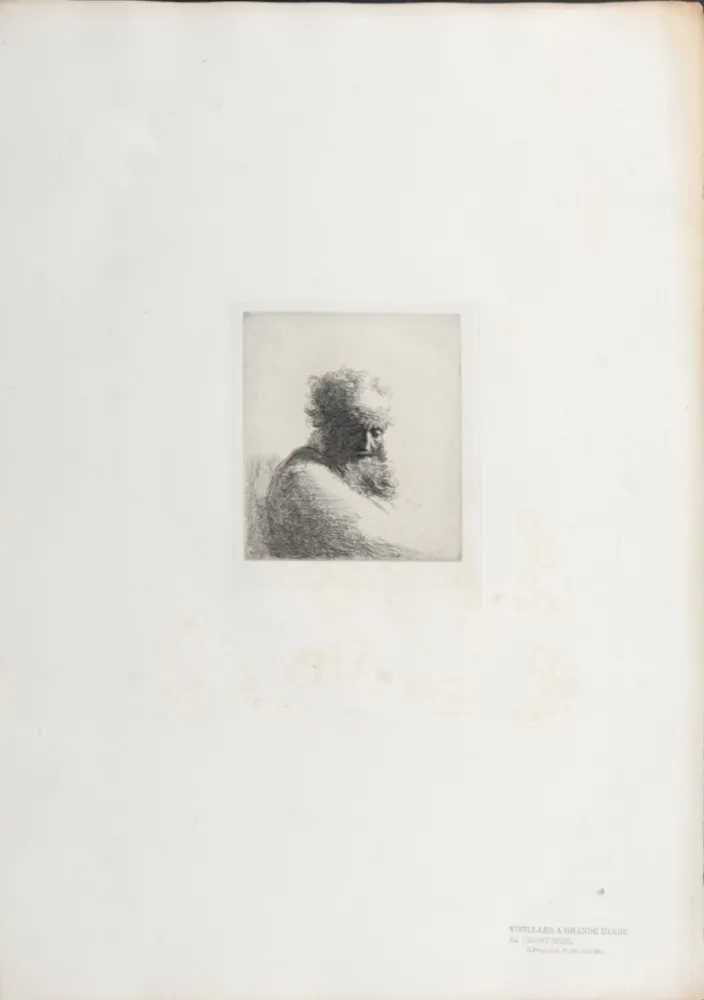 Rotocalcografia Rembrandt - Veillard à grande barbe et front ridé