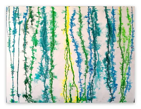 Non Tecnico Reyna - Quarantaine 20064