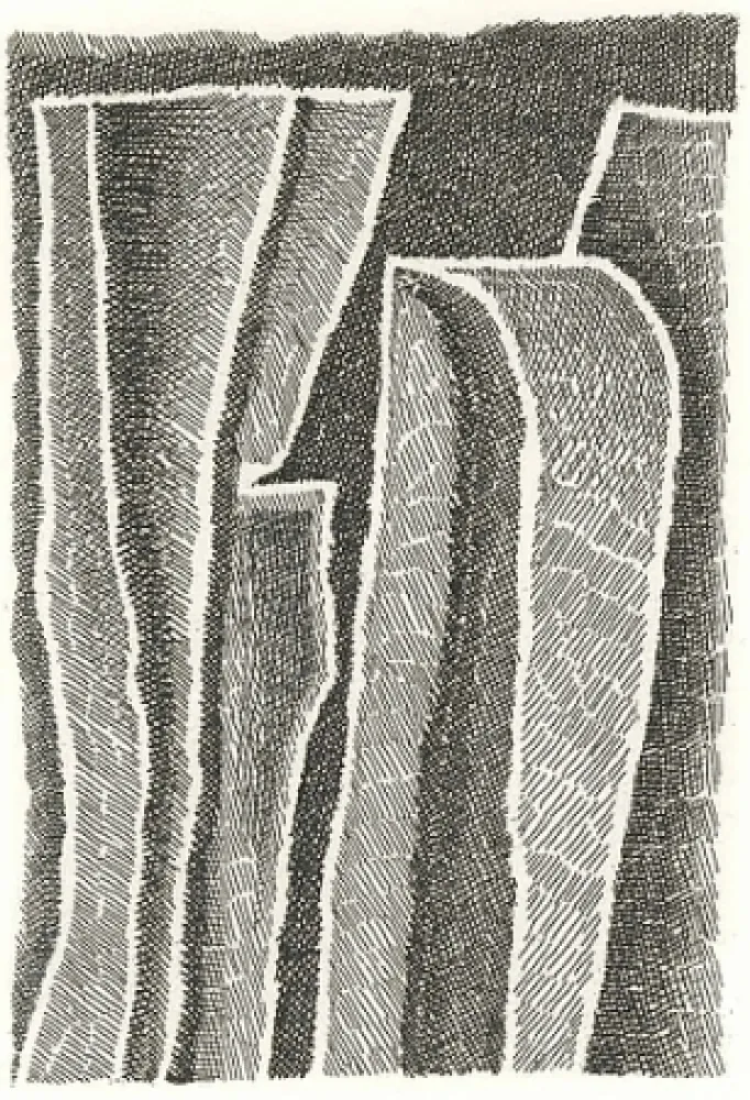 Libro Illustrato Ricci - I Sassi di Matera