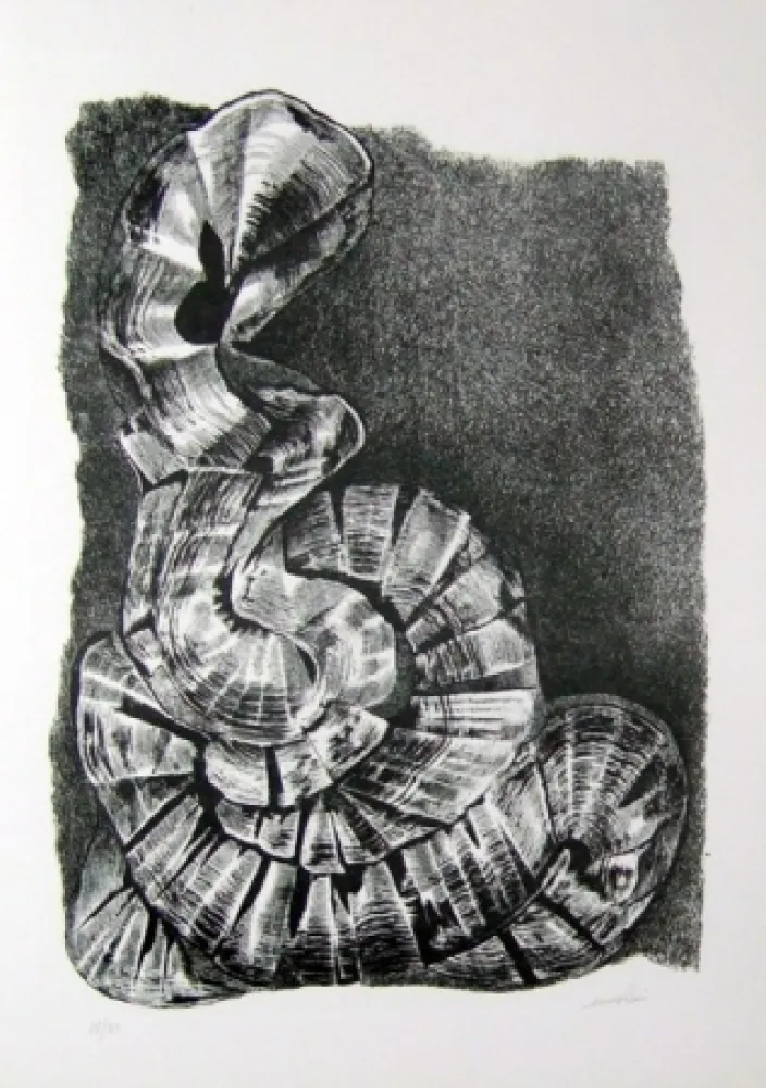 Libro Illustrato Ricci - Lettera a un amico (e, indirettamente, a tutti gli altri)