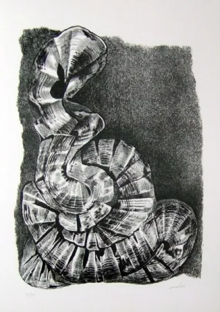 Libro Illustrato Ricci - Lettera a un amico (e, indirettamente, a tutti gli altri)