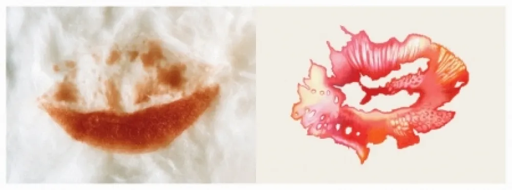 Grafica Numerica Richard - Les revers du baiser