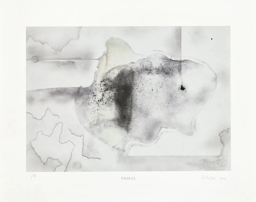 Multiplo Richter - Pamul