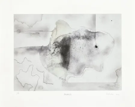 Multiplo Richter - Pamul