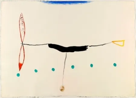 Acquaforte Riera I Aragó - Avió alargado cola amarilla