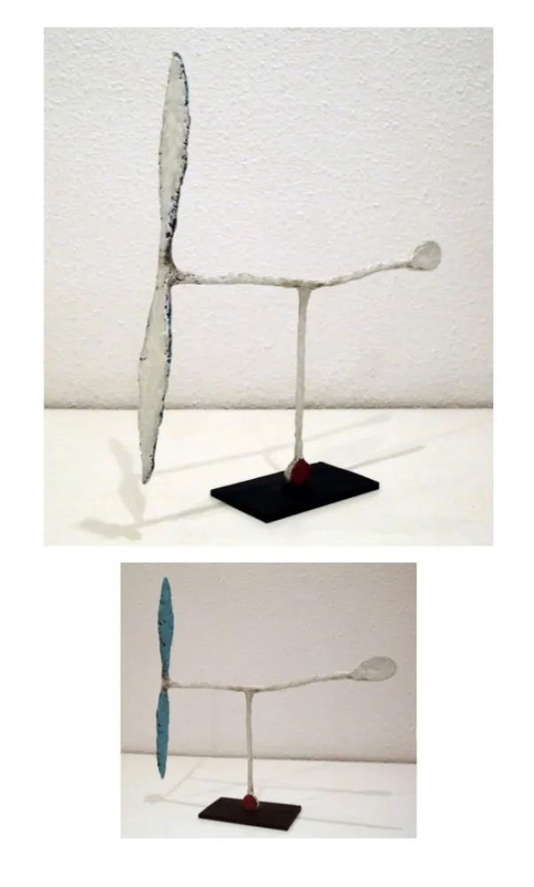 Non Tecnico Riera I Aragó - Avió blanc amb cua