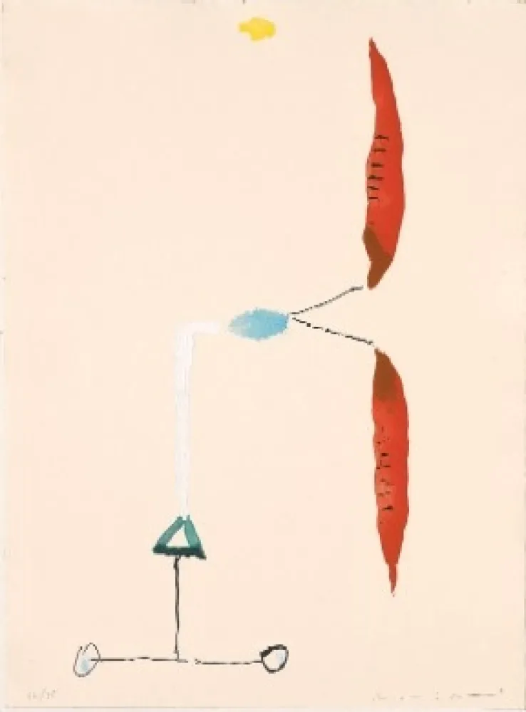 Acquaforte Riera I Aragó - Avió hèlix vermella 