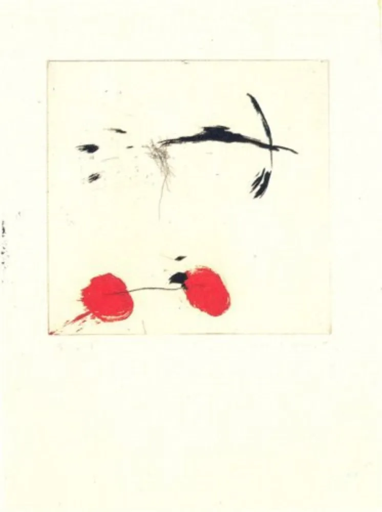 Incisione Riera I Aragó - Avió petit rodes vermelles