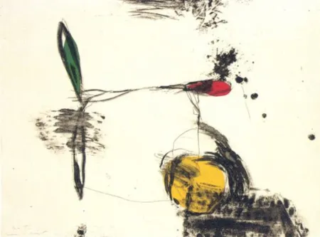 Incisione Riera I Aragó - Avió roda groga