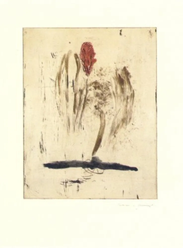 Incisione Riera I Aragó - Submarí i ala