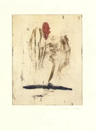 Incisione Riera I Aragó - Submarí i ala