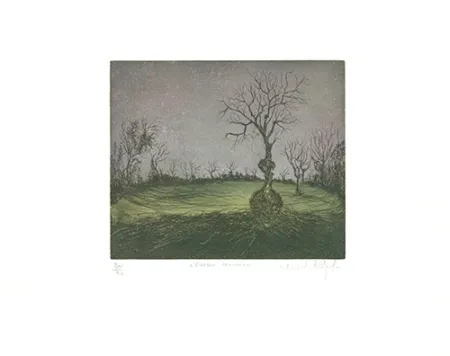 Acquaforte E Acquatinta Rigal J.j.j. - L'Erable canadien