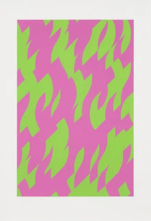 Serigrafia Riley - Magenta and Green