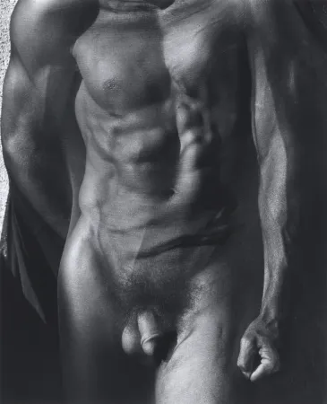 Fotografie Ritts - Male Torso with Veil (Tight), Silverlake