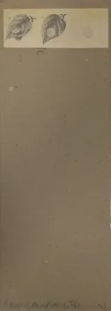 Multiplo Robert - Shirtboards Morocco, Italy