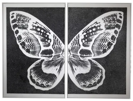 Serigrafia Robierb - Hybrid Silver Butterfy II on Black