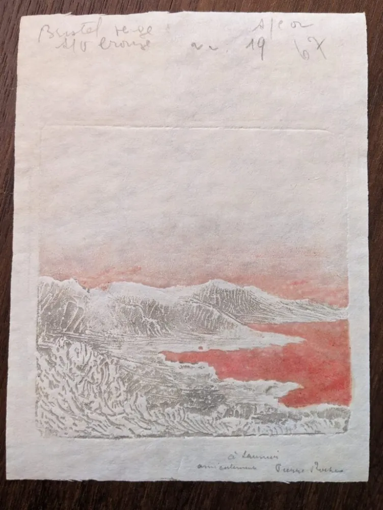 Non Tecnico Roche - Méditerranée