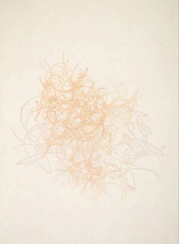 Acquaforte E Acquatinta Rodriguez Caballero - 08.Octubre.2017