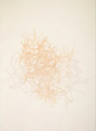 Acquaforte E Acquatinta Rodriguez Caballero - 08.Octubre.2017