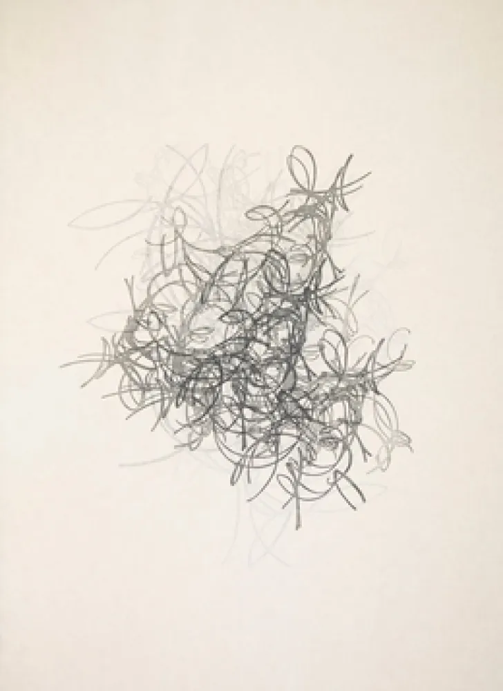 Acquaforte E Acquatinta Rodriguez Caballero - 09.Octubre.2017