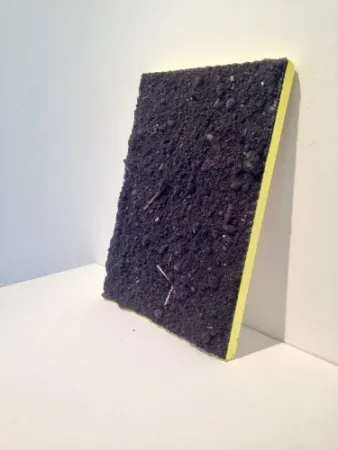 Multiplo Rondinone - Leuven Landscape (Hansa Yellow 111)