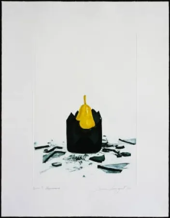 Acquaforte E Acquatinta Rosenquist - Appearance