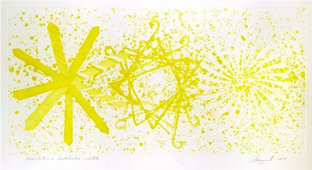 Acquatinta Rosenquist - More Points on a Bachelor's Tie - 2 state