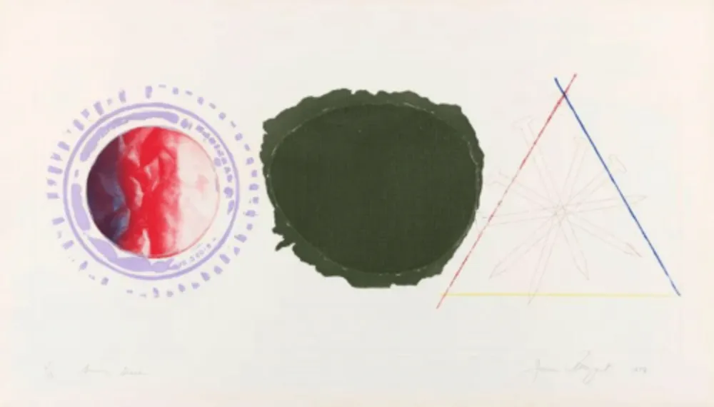 Acquaforte E Acquatinta Rosenquist - Swing Screen