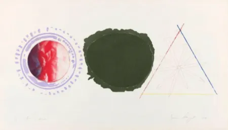 Acquaforte E Acquatinta Rosenquist - Swing Screen