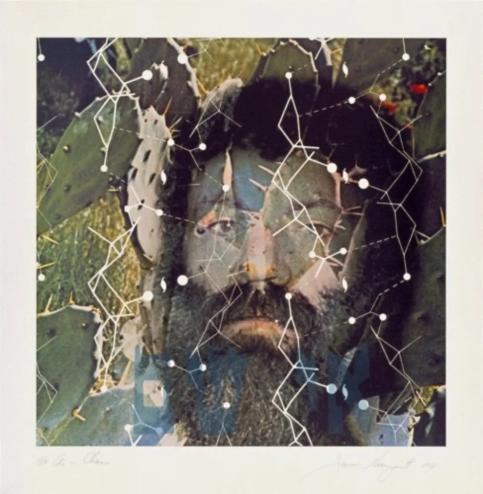 Litografia Rosenquist - The