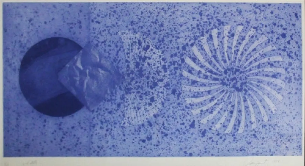 Acquaforte E Acquatinta Rosenquist - The Book Disappears for the Fast Student 2nd State