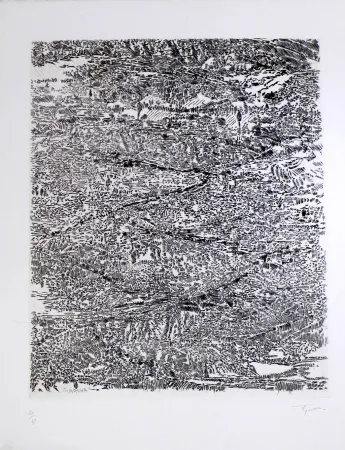 Acquaforte E Acquatinta Rouan  - Arena