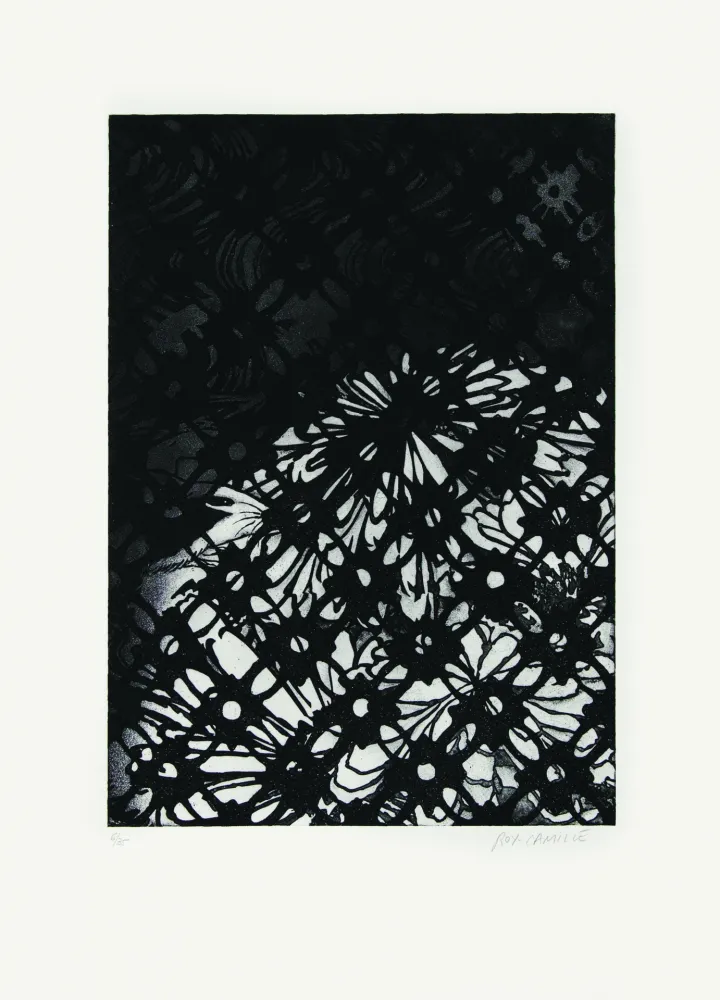 Acquaforte Roy-Camille - Ajourée