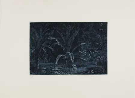 Acquaforte Roy-Camille - Le remplissage des blancs sur la carte