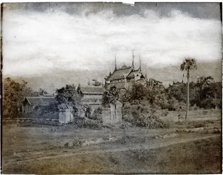 Non Tecnico Ruff - Amerapoora