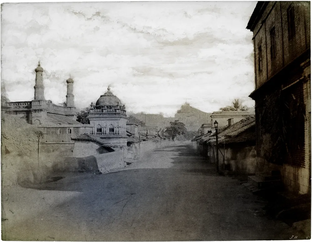 Non Tecnico Ruff - Trichinopoly