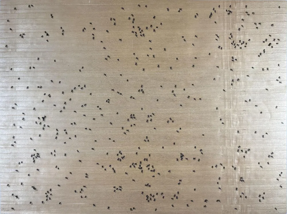 Serigrafia Ruscha - Black Ants from the Insects Portfolio