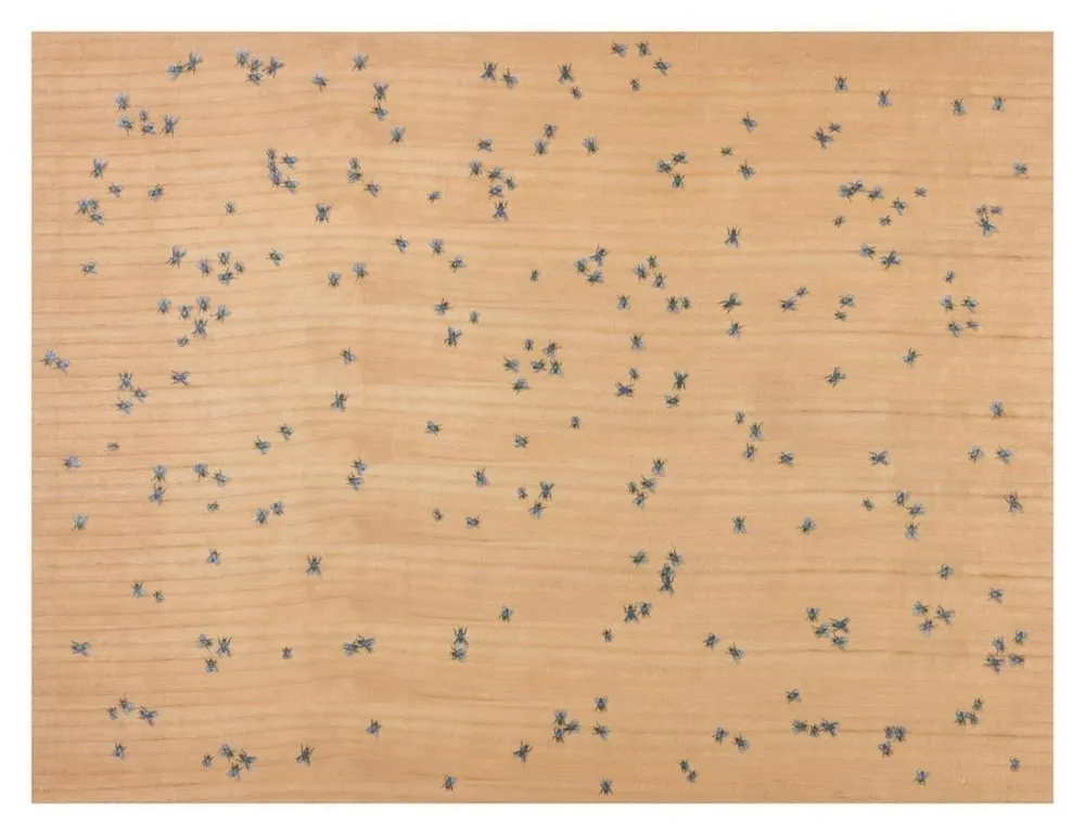Multiplo Ruscha - Flies