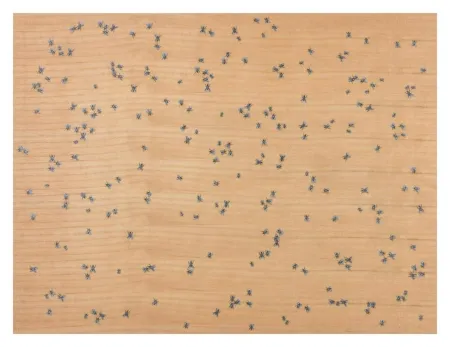 Multiplo Ruscha - Flies